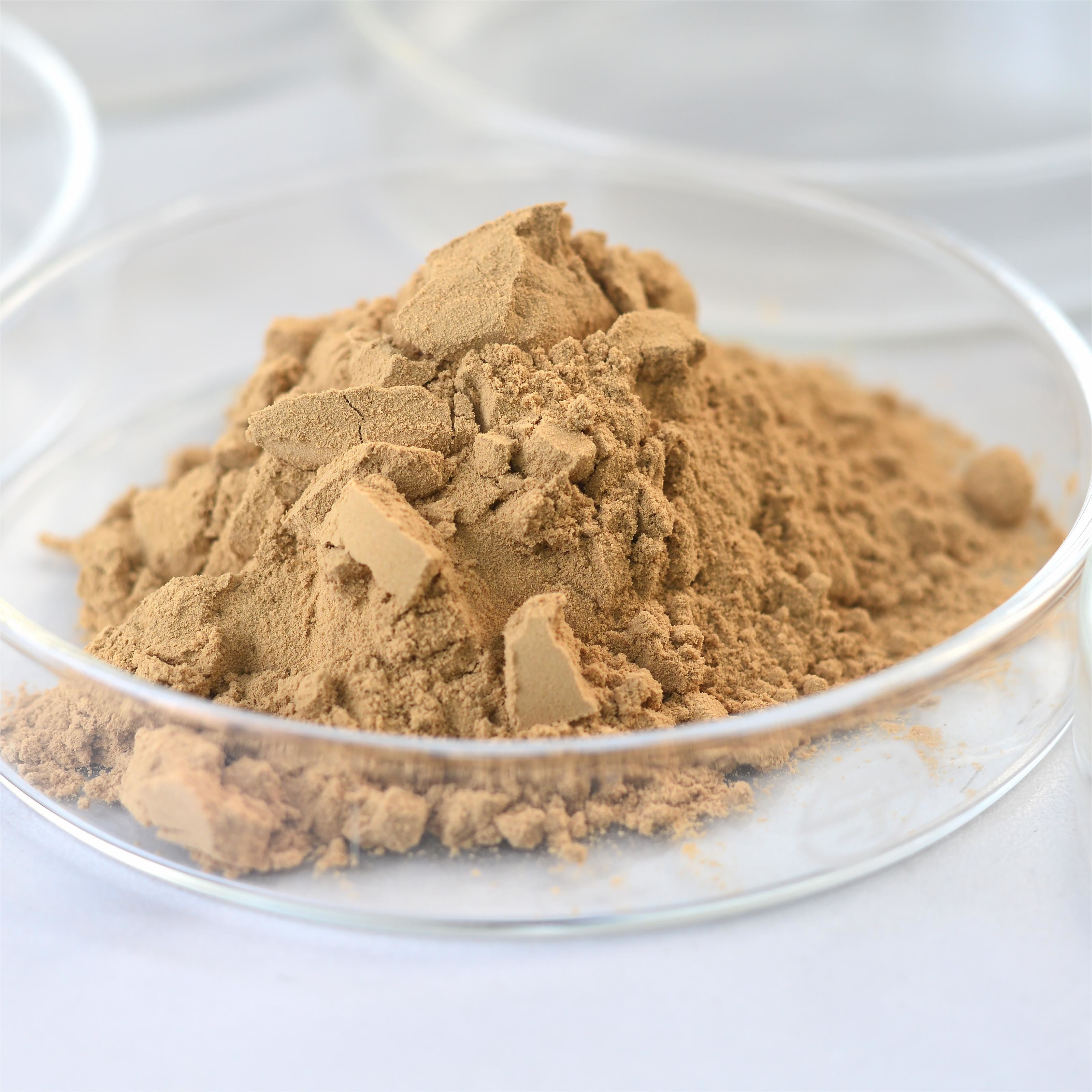 Alcohol Enzyme